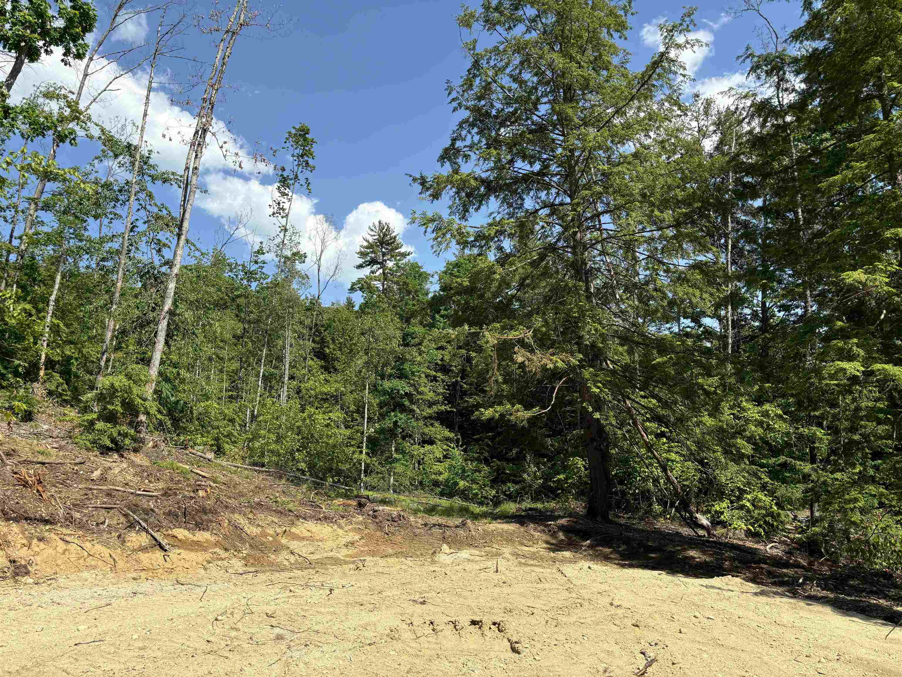 Map3-lot9-3 Scotland Road Winchester, NH 03470 - Photo 6 of 23