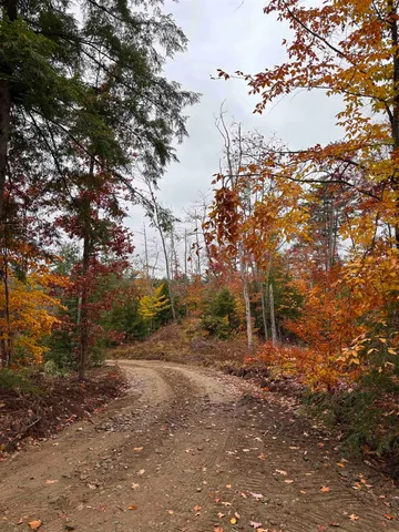 $159,000 | Map3-lot9-3 Scotland Road, Winchester, NH 03470