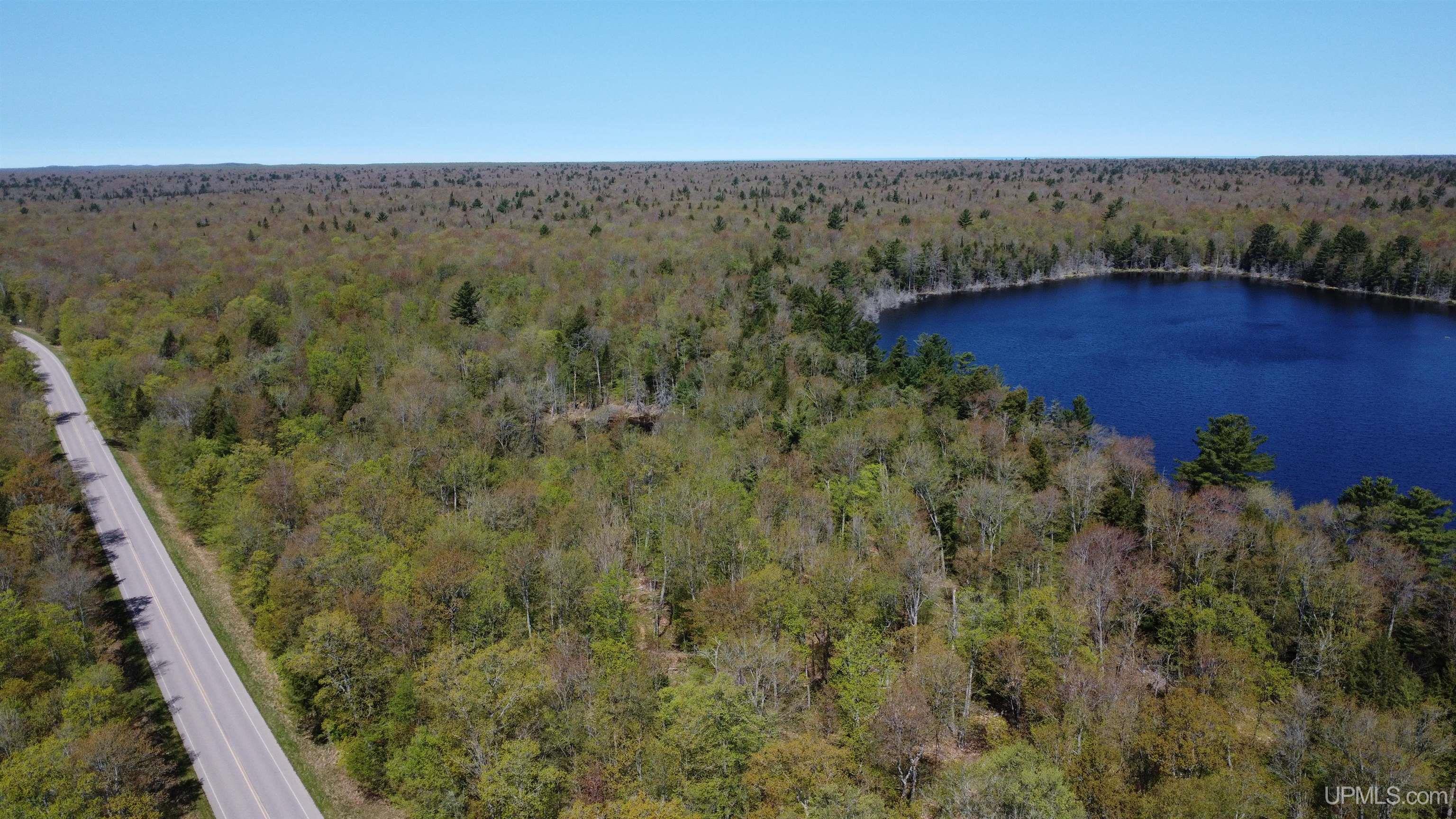 Off Adams Trail Shingleton, MI 49884 - Photo 33 of 46