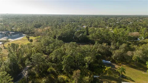 a view of a forest with a street