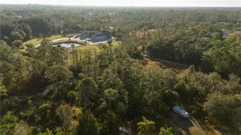 a view of a tree in a yard