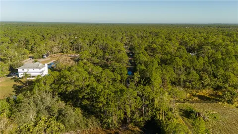 a view of a tree with a yard