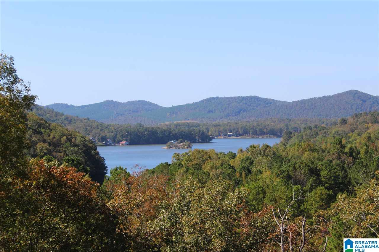 1298 Mohawk Cliff Road Ohatchee, AL 36271 - Photo 33 of 50