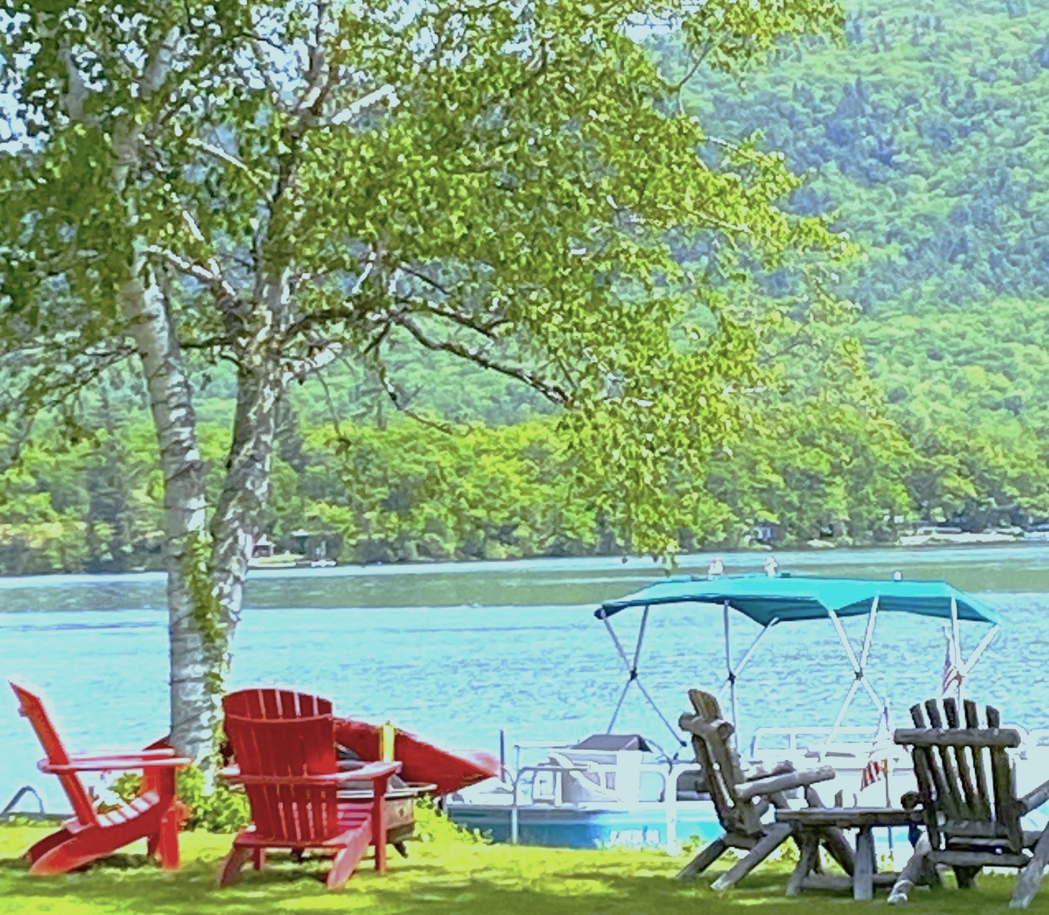 851 West Shore Road Salisbury, VT 05769 - Photo 3 of 38