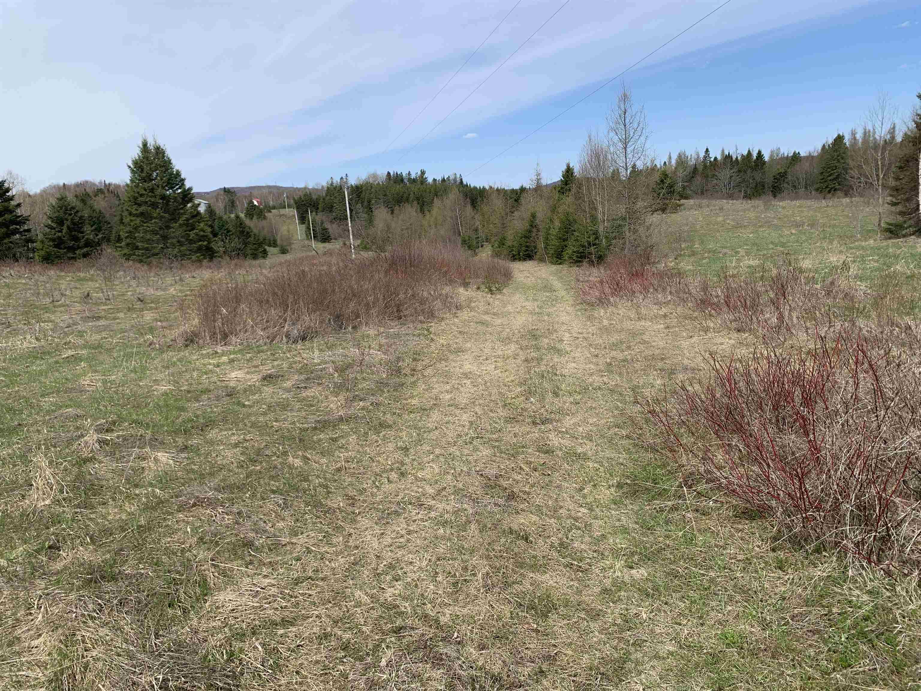 53 North Hill Road Stewartstown, NH 03576 - Photo 4 of 16