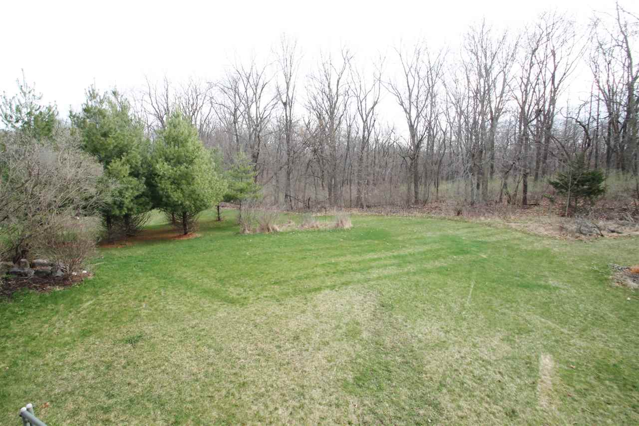 4461 Ridgeview Lane Byron, IL 61010 - Photo 23 of 25 a backyard of a house with lots of green space