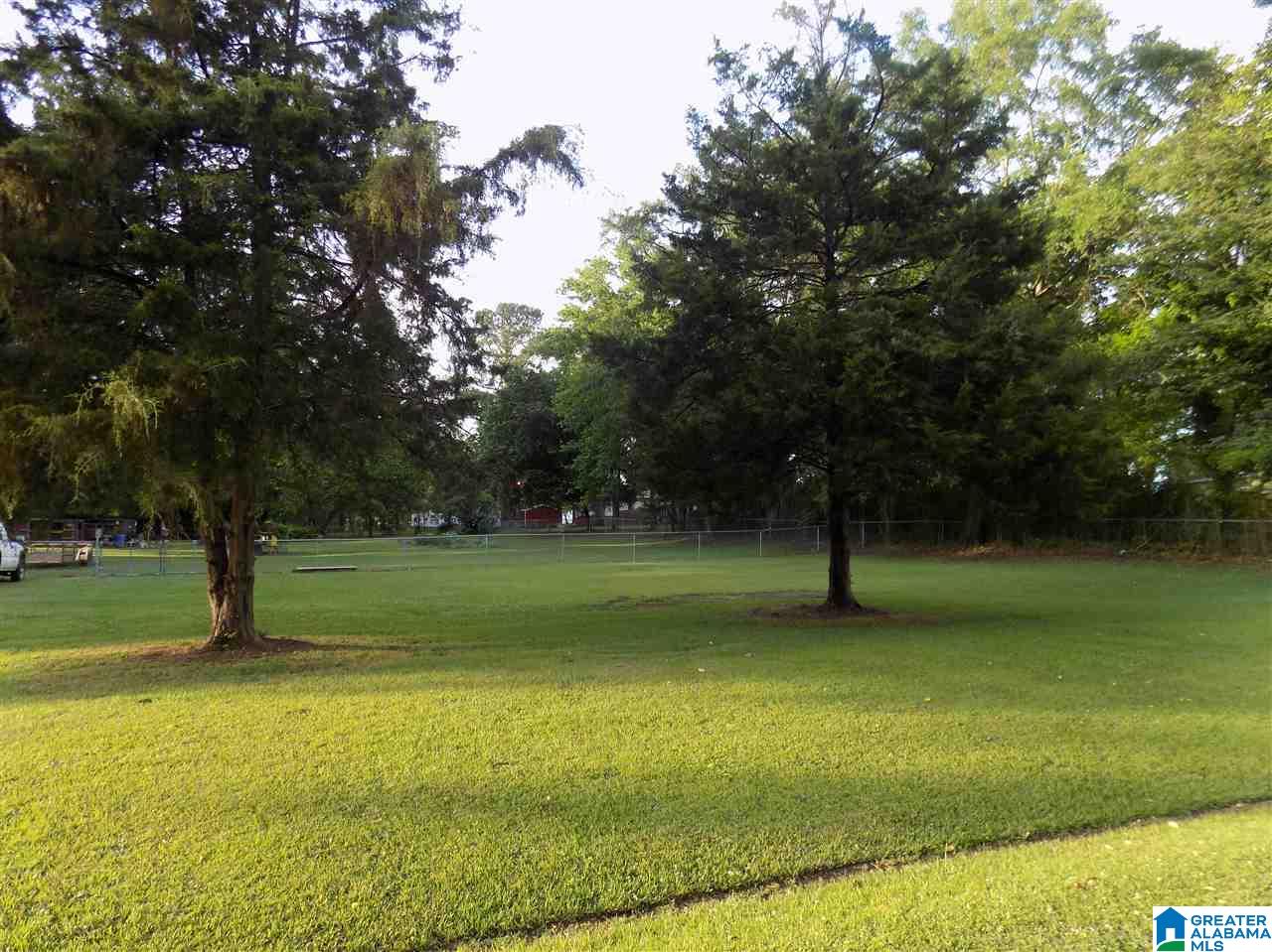 1235 McPherson Road Mount Olive, AL 35117 - Photo 3 of 23
