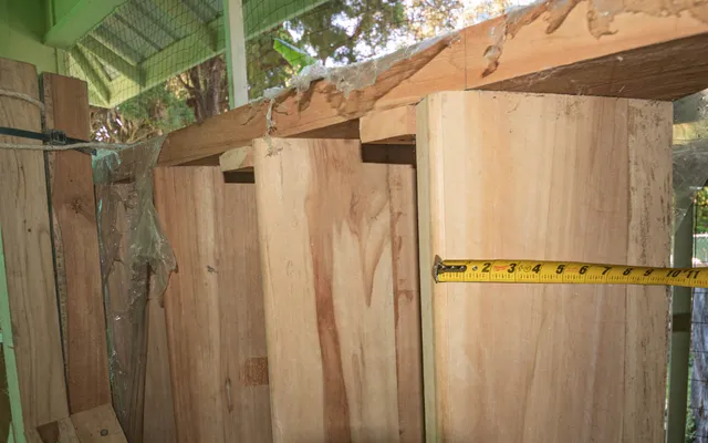 a view of a yard with large trees