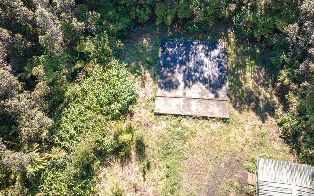 a view of a tree with a yard