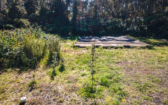 a view of yard with trees