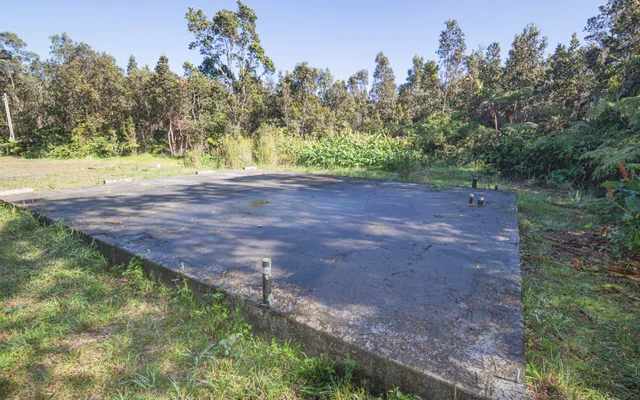 a view of a yard with a tree