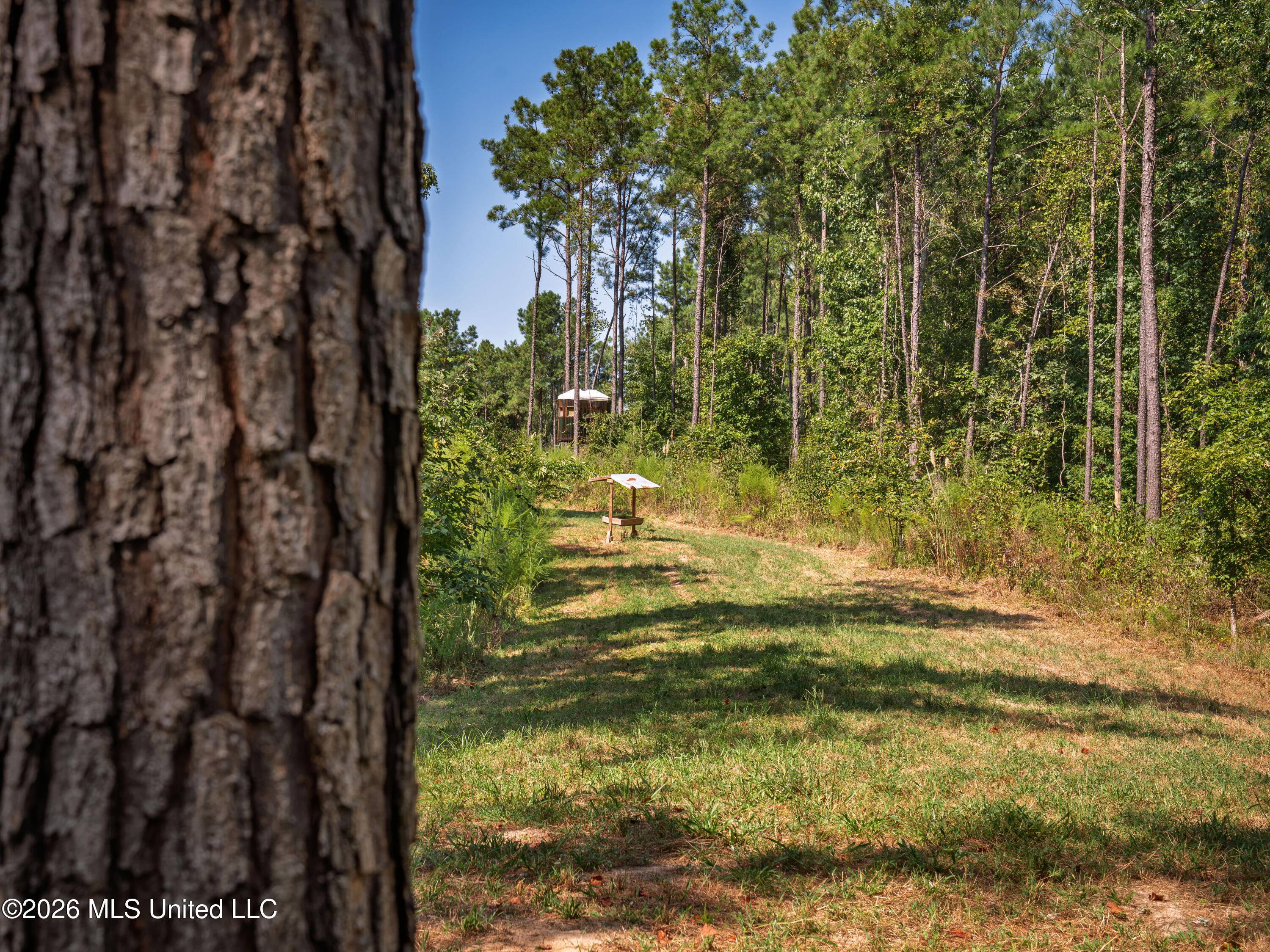 3053 Attala Road Kosciusko, MS 39090 - Photo 39 of 71 A7404760