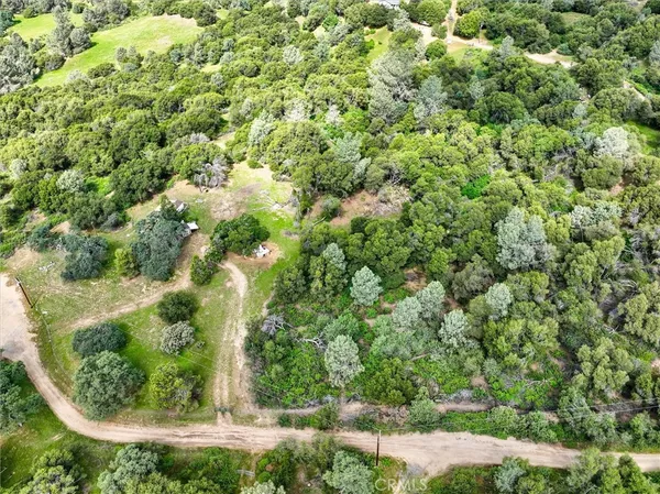 a view of a yard