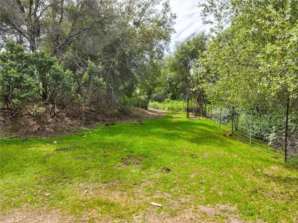 a big yard with lots of green space and deers