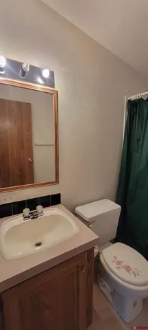a bathroom with a sink and a toilet