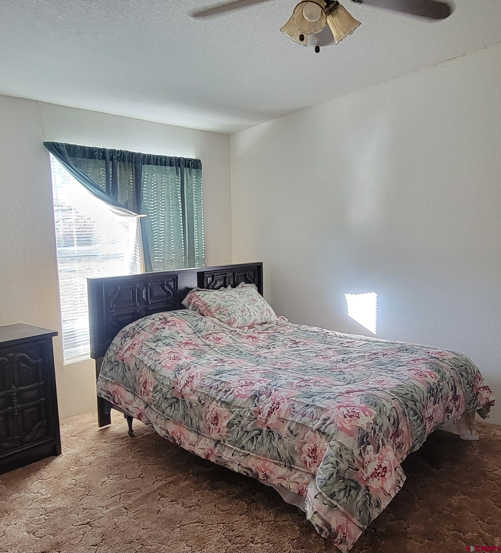 188 Vail Pass Road South Fork, CO 81154 - Photo 18 of 31