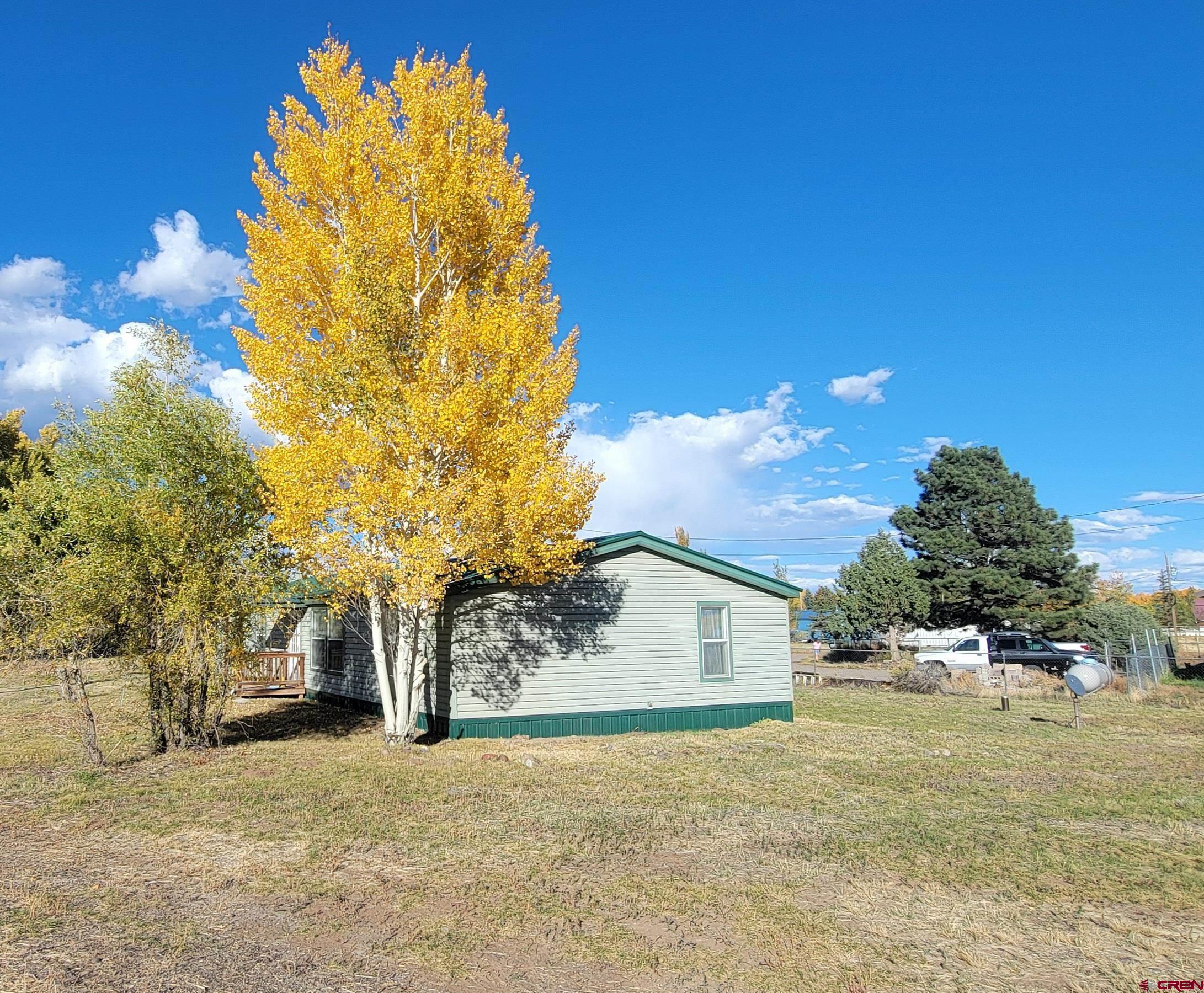 188 Vail Pass Road South Fork, CO 81154 - Photo 4 of 31 a front view of a house with a yard and garage