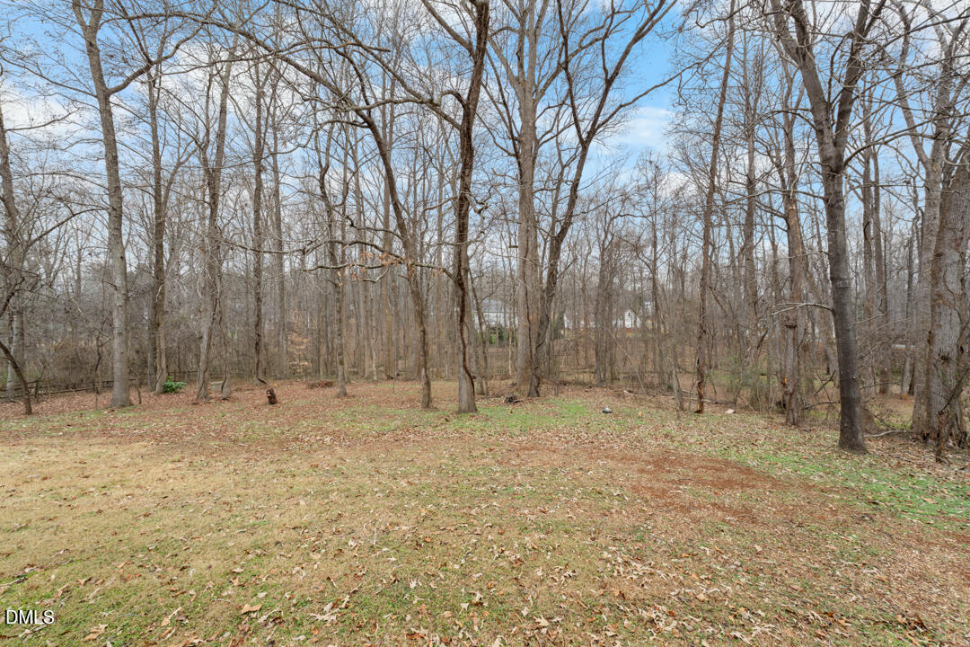 10205 Stallion Way Bahama, NC 27503 - Photo 35 of 42 DSC06581