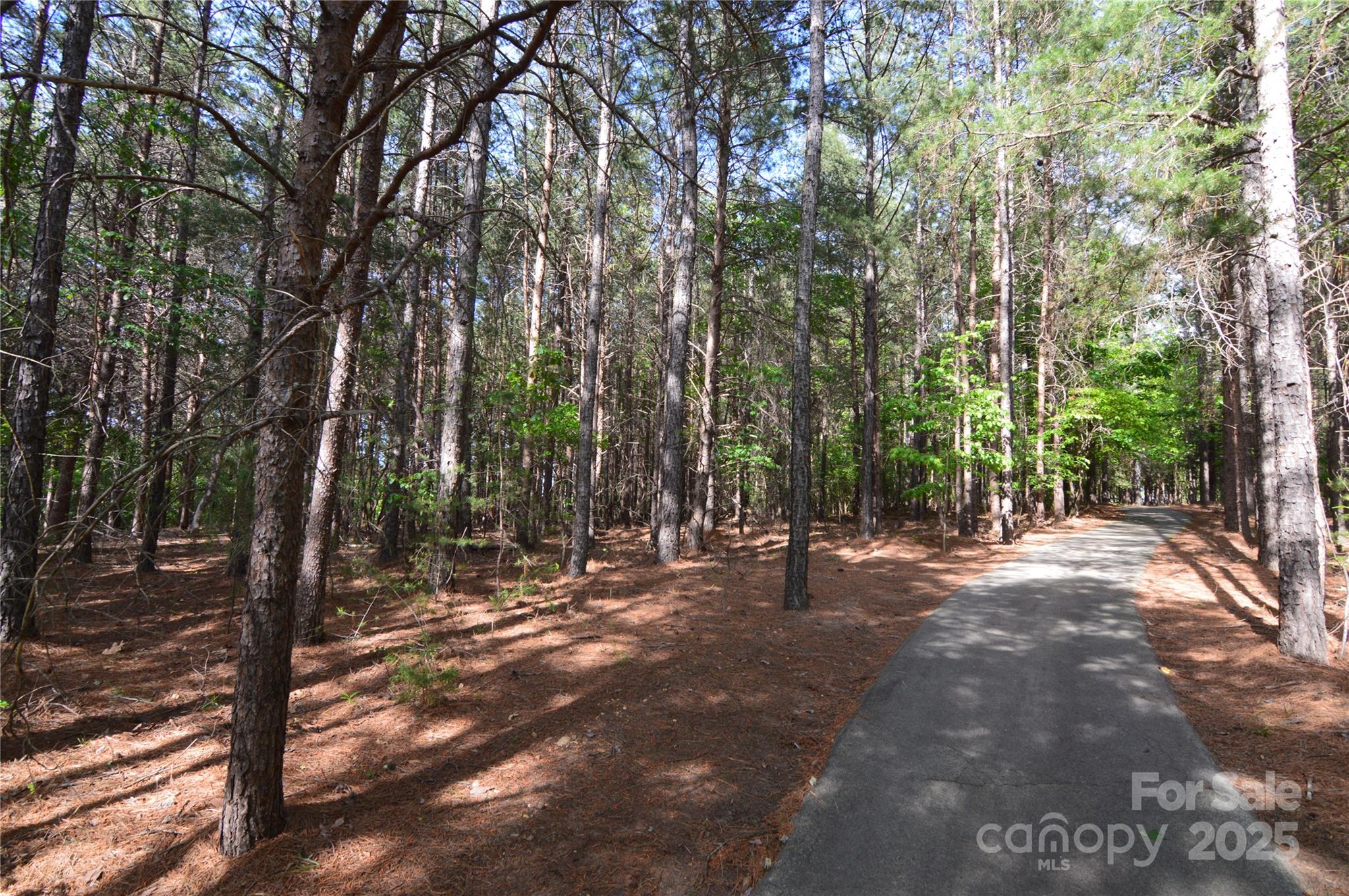 3125 Lake Pointe Drive, Unit 77 Belmont, NC 28012 - Photo 36 of 45