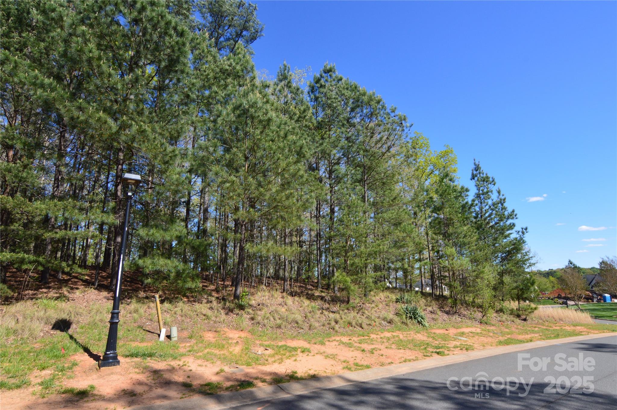 3125 Lake Pointe Drive, Unit 77 Belmont, NC 28012 - Photo 7 of 45