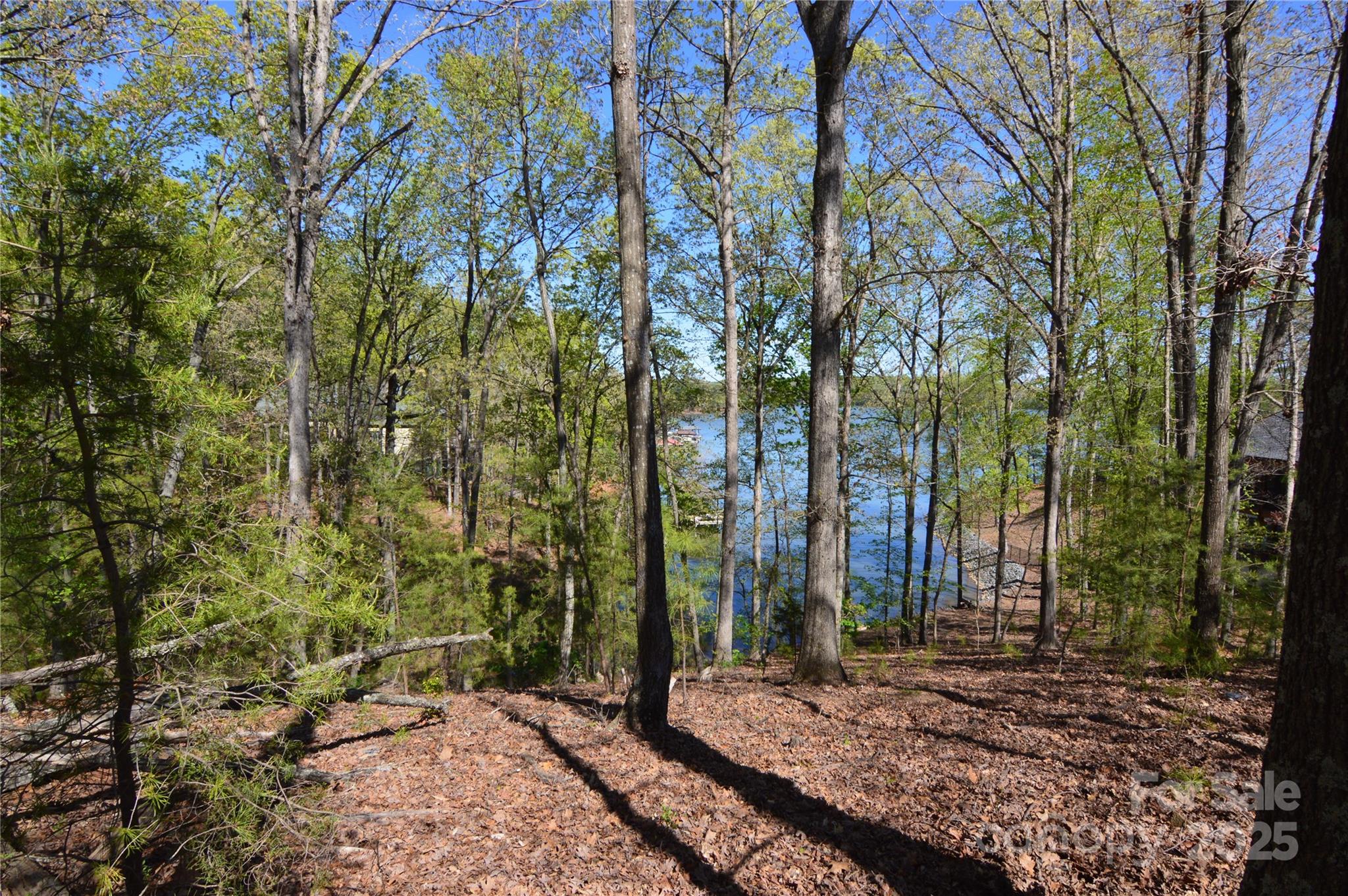 3125 Lake Pointe Drive, Unit 77 Belmont, NC 28012 - Photo 8 of 45