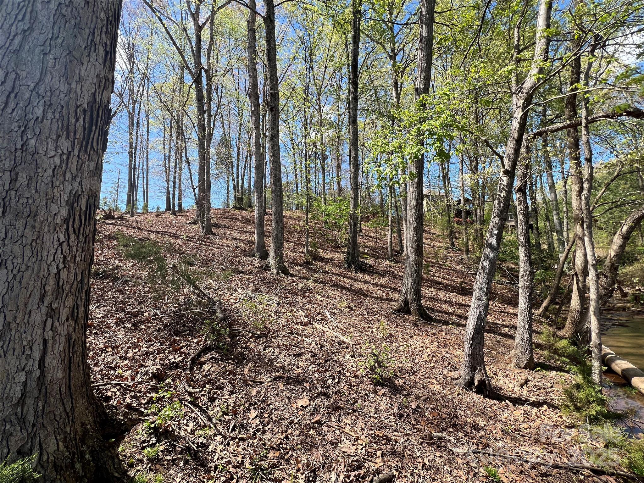 3125 Lake Pointe Drive, Unit 77 Belmont, NC 28012 - Photo 10 of 45