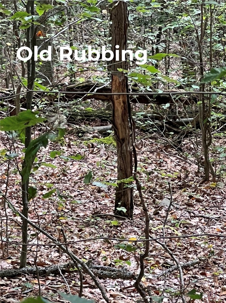 Dyke Road Corning, NY 14830 - Photo 26 of 49 Gallery Image 26