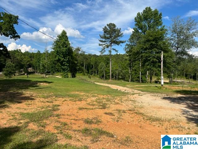 8134 Clairmont Springs Road Lineville, AL 36266 - Photo 18 of 36