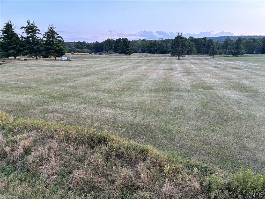 4457 E Road Turin, NY 13473 - Photo 3 of 5 Gallery Image 3