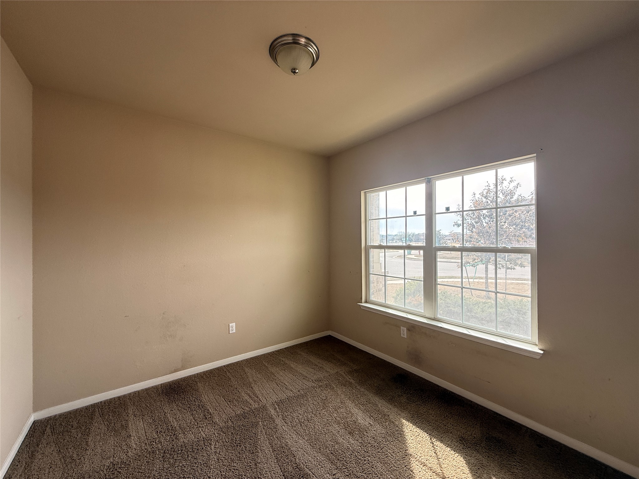 1602 Atlantica Street Cedar Park, TX 78613 - Photo 3 of 24 Spare room with carpet and baseboards