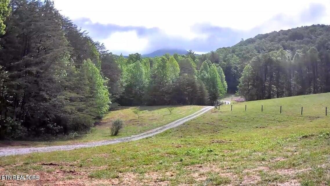 188 Dalton Branch Road Tellico Plains, TN 37385 - Photo 13 of 42