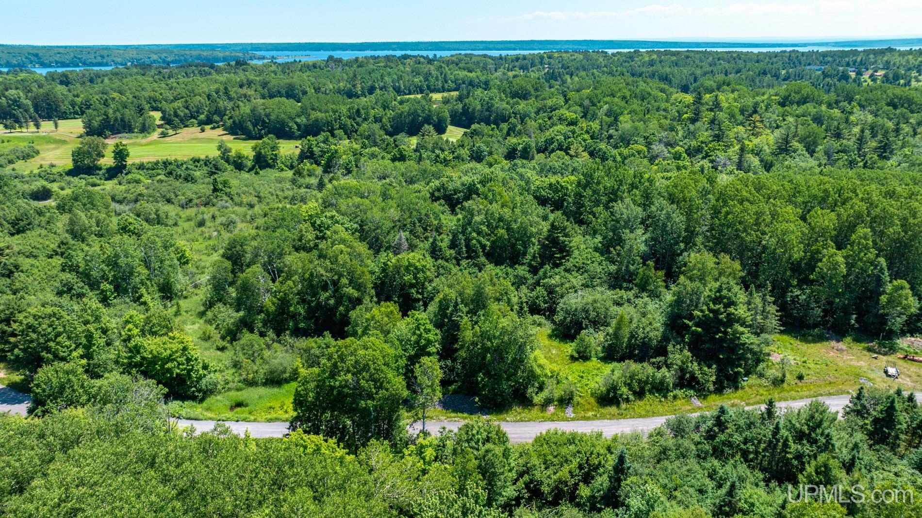 Tbd Parcel M24 River Trails Road Hancock, MI 49931 - Photo 6 of 9