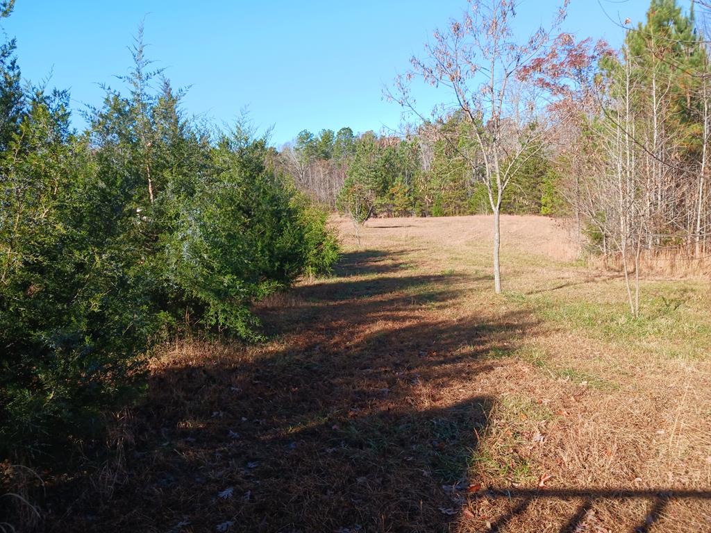 12232 Farmville Road Meherrin, VA 23954 - Photo 24 of 25 Gallery Image 24