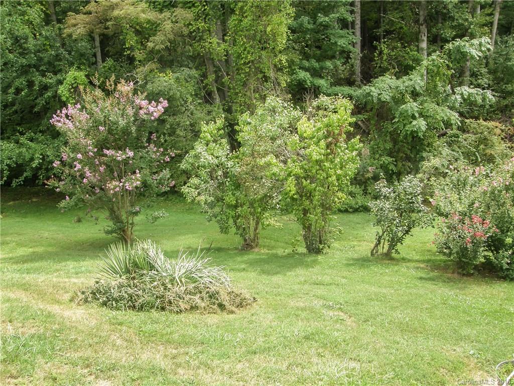 692 Newfound Road Leicester, NC 28748 - Photo 19 of 22