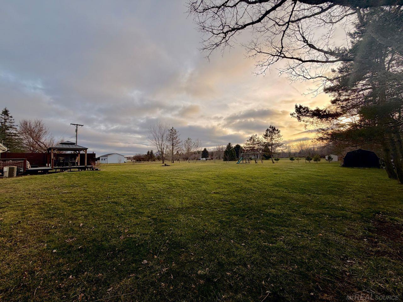 back yard