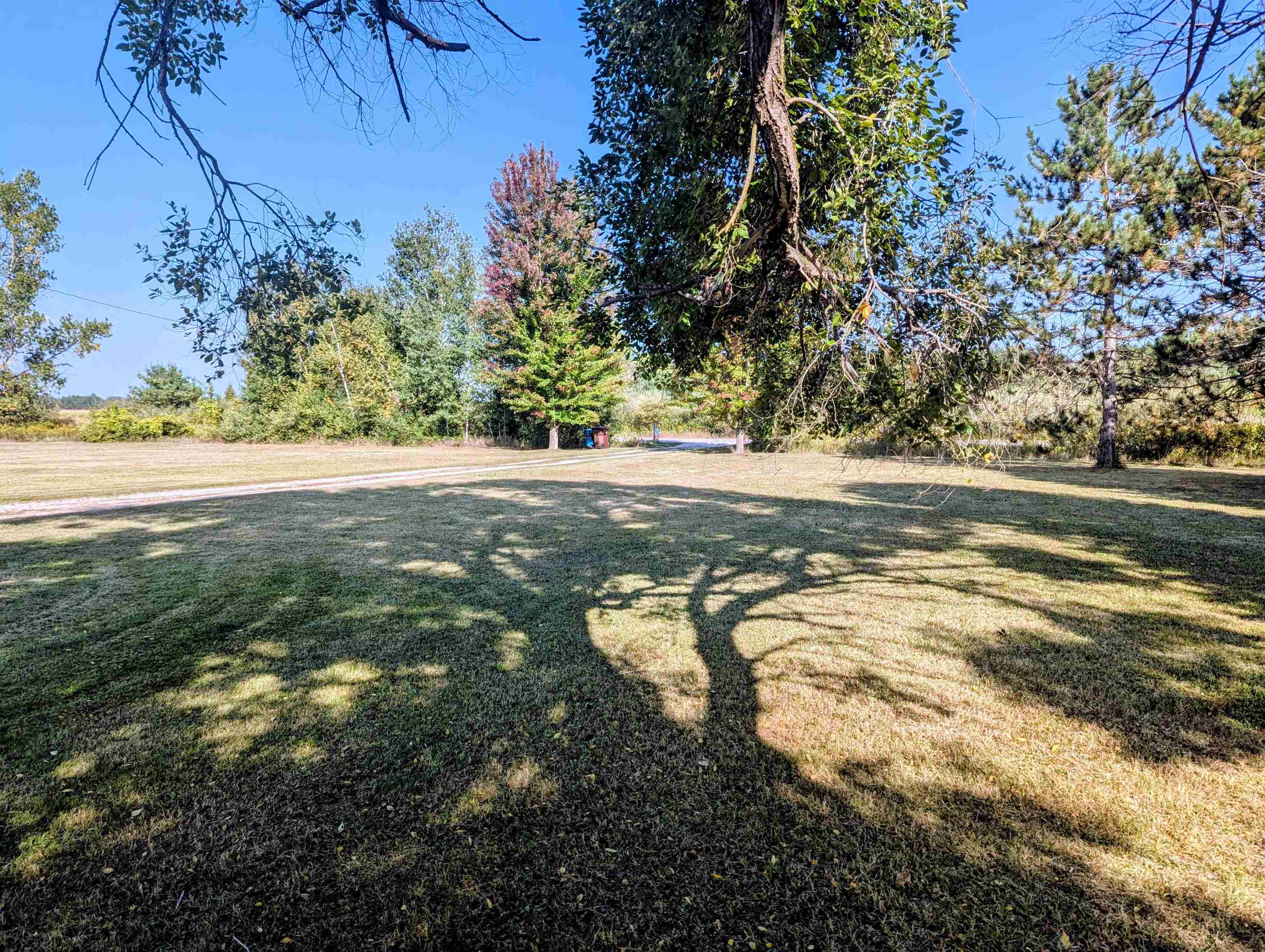 1590 Grove Road Omer, MI 48749 - Photo 7 of 34