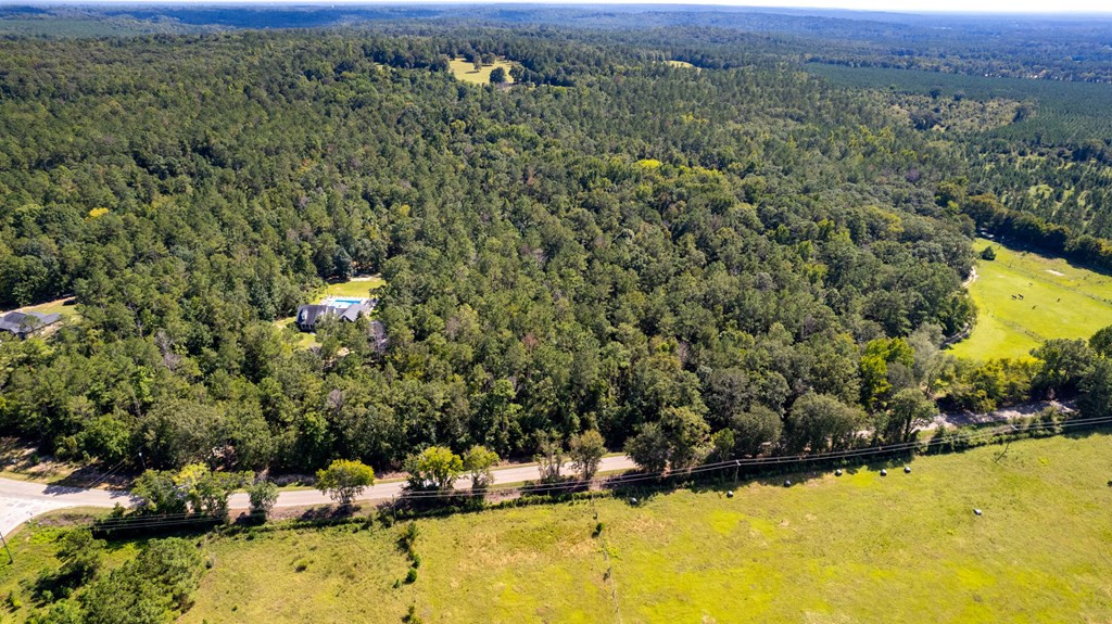 6550 Catchall Road Dalzell, SC 29040 - Photo 11 of 12