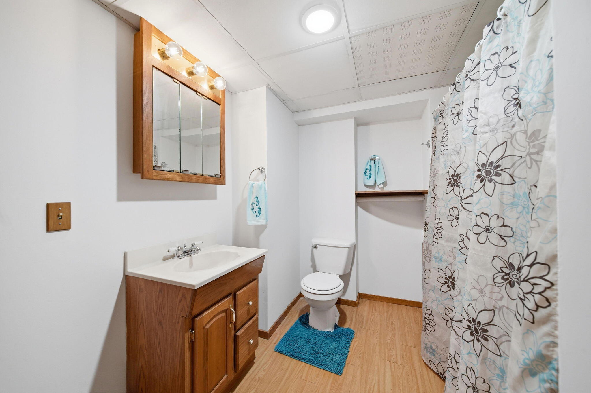 7925 Seymour Road Grass Lake, MI 49240 - Photo 50 of 75 64-web-or-mls-DSC04902