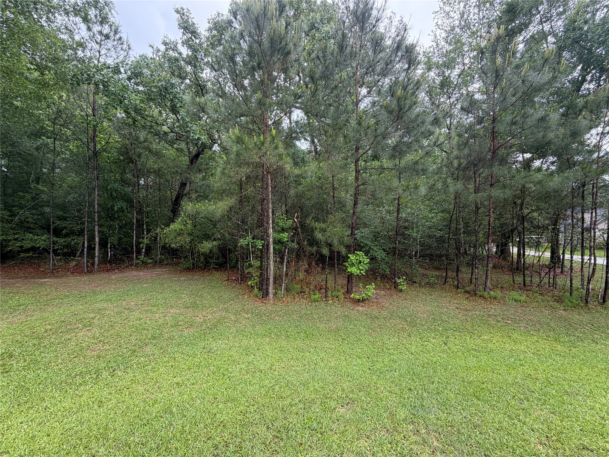 Tbd Agassi Court Magnolia, TX 77354 - Photo 1 of 7 Very Rare! Only home site available in Millers Crossing, a mature, gated community