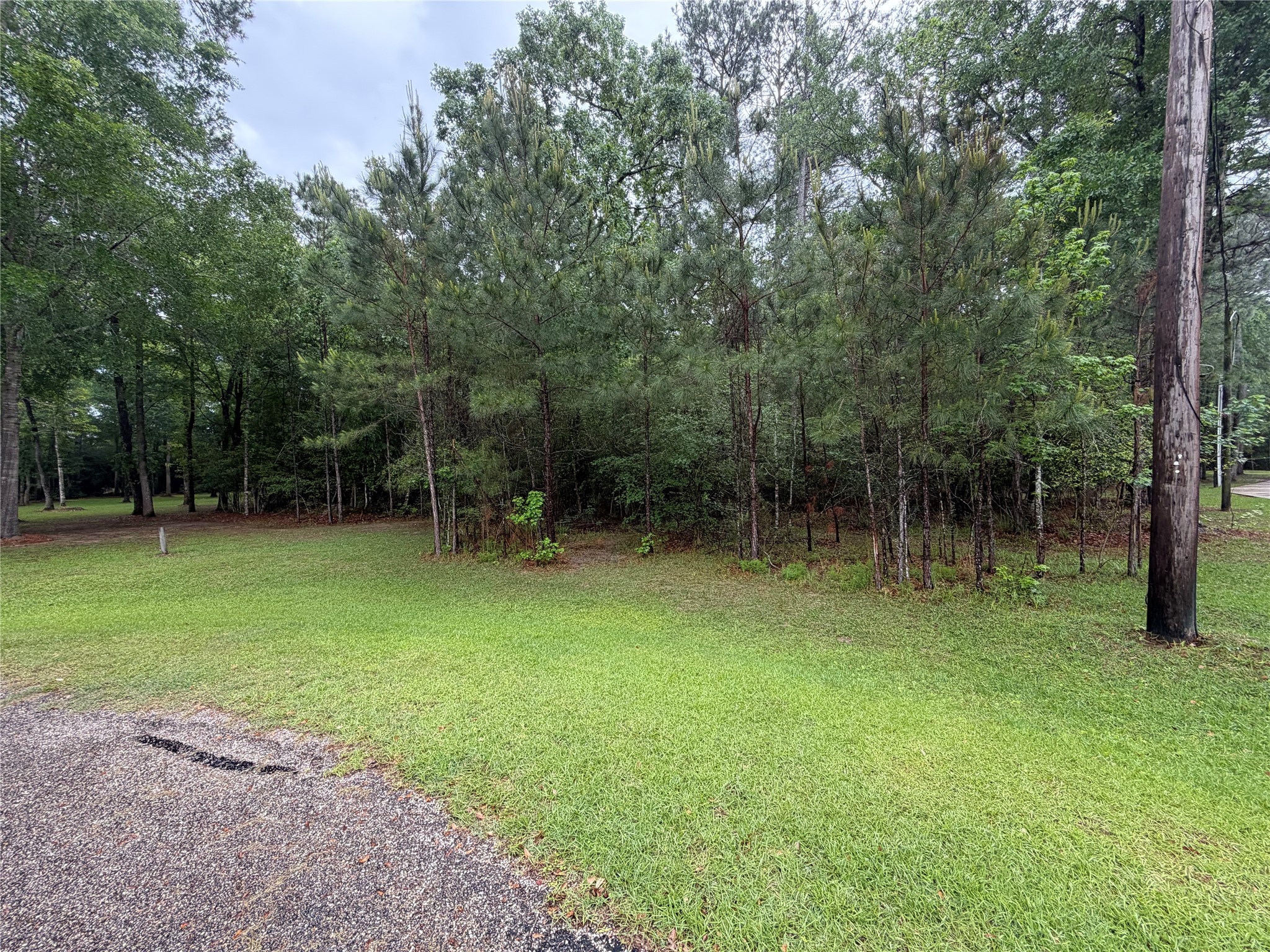 Tbd Agassi Court Magnolia, TX 77354 - Photo 2 of 7 Ready to develop and build your dream home