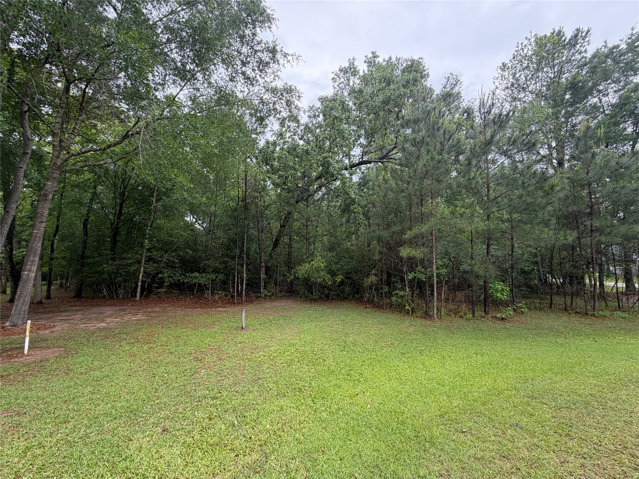 Tbd Agassi Court Magnolia, TX 77354 - Photo 3 of 7 Lots of space and peace and quiet here