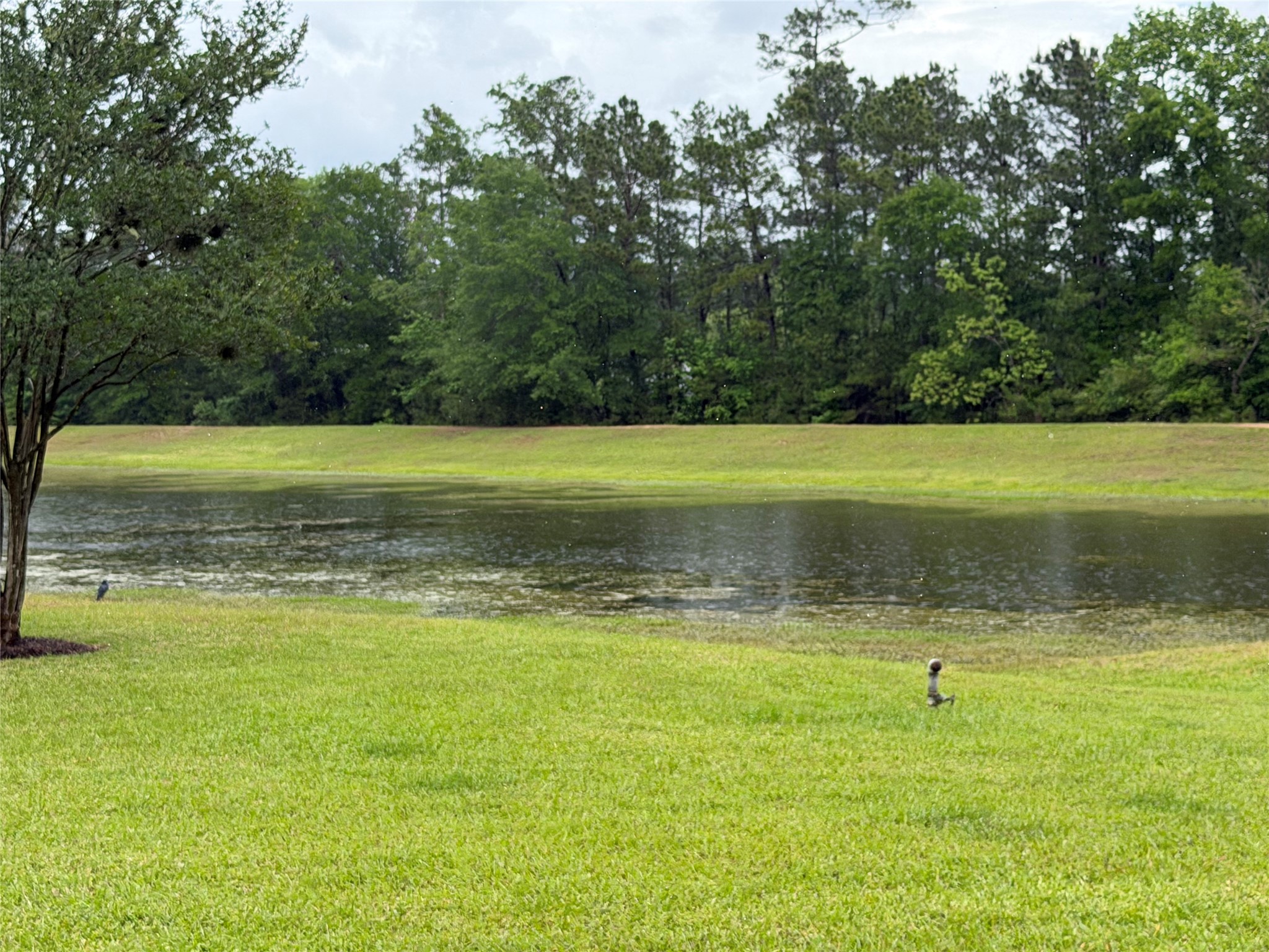 Tbd Agassi Court Magnolia, TX 77354 - Photo 7 of 7 Tennis Court, park, fishing pond amenities.