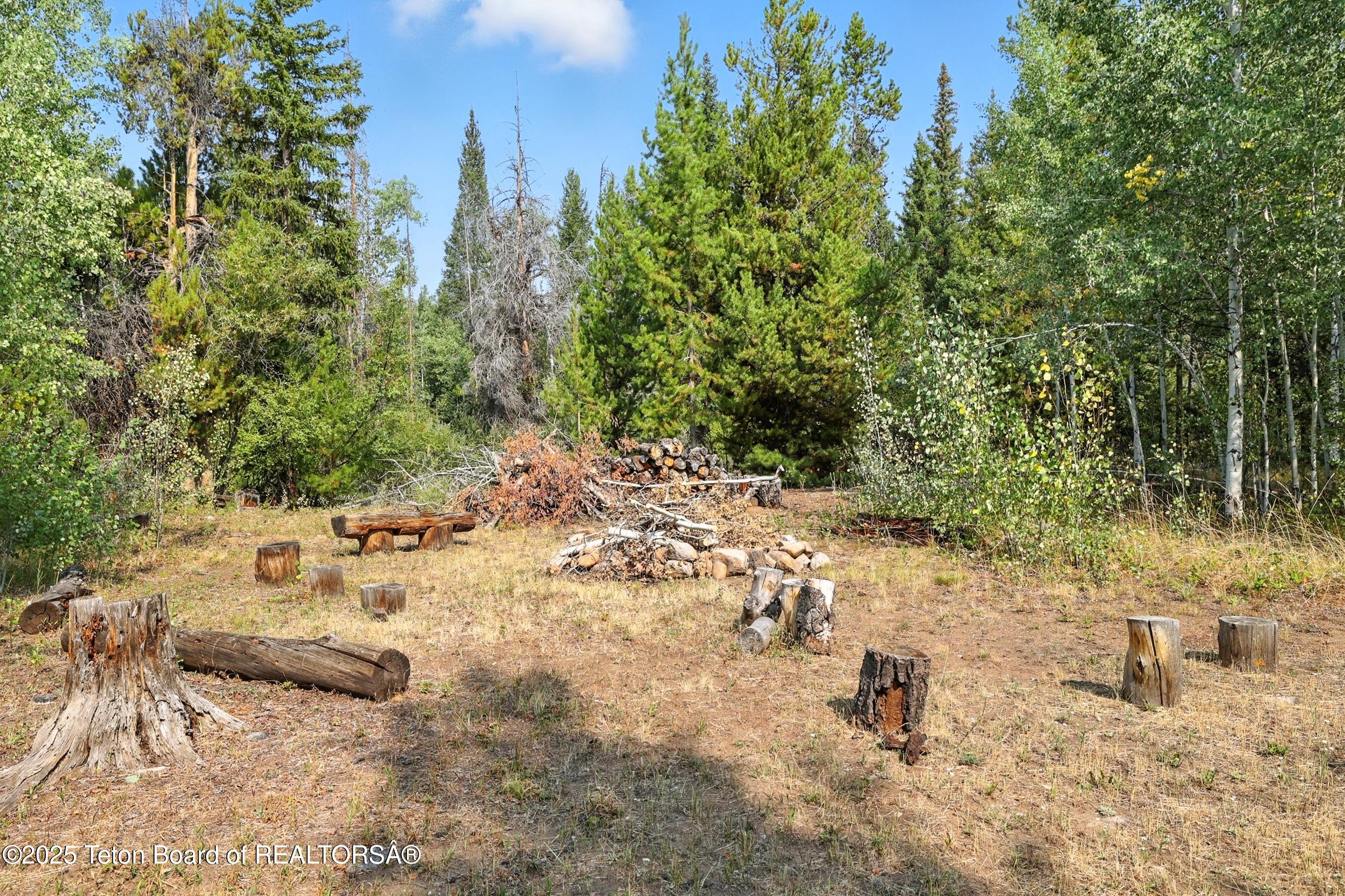 3 Forest Trail Boulder, WY 82923 - Photo 46 of 67 069-DMD_9670