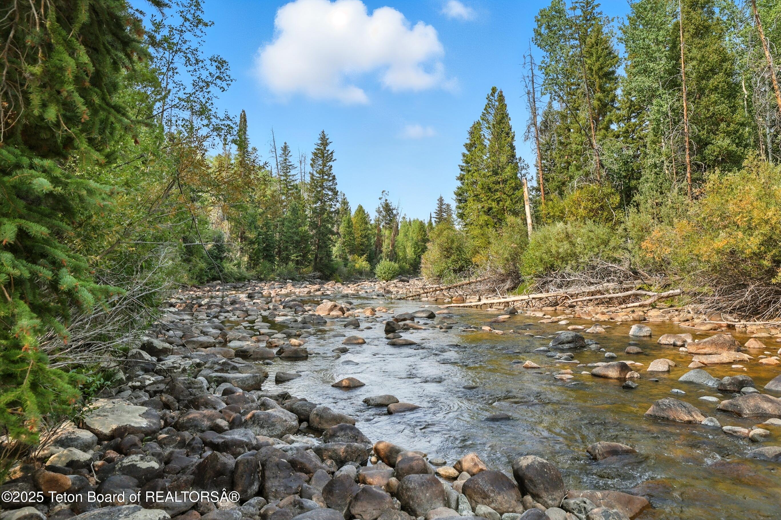 3 Forest Trail Boulder, WY 82923 - Photo 50 of 67 074-DMD_9695