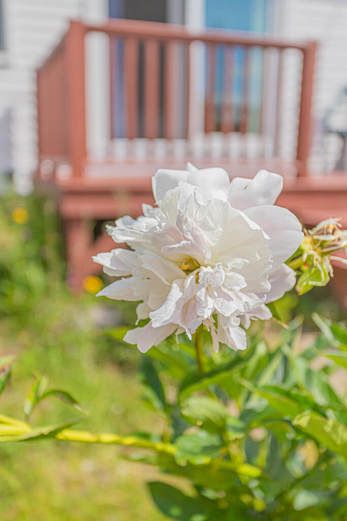 80 Beedy Road Jay, ME 04239 - Photo 40 of 43 photo (45 of 45)