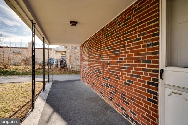 a view of a yard with a large tree
