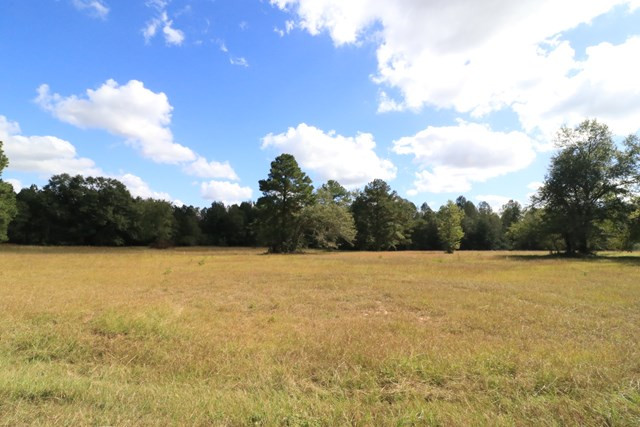 544 New Bridge Road Aiken, SC 29801 - Photo 8 of 15