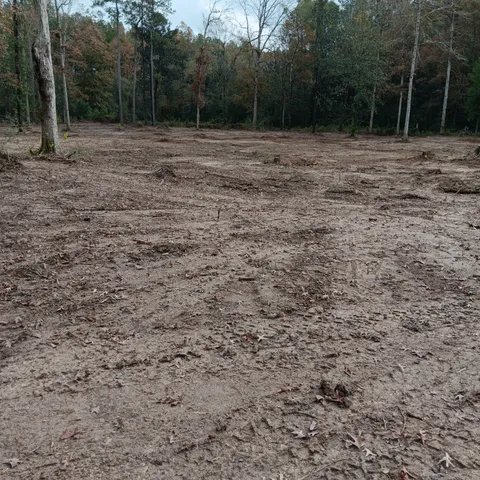 $130,000 | Lot 22 Plum Pudding Road, Livingston, TX 77351