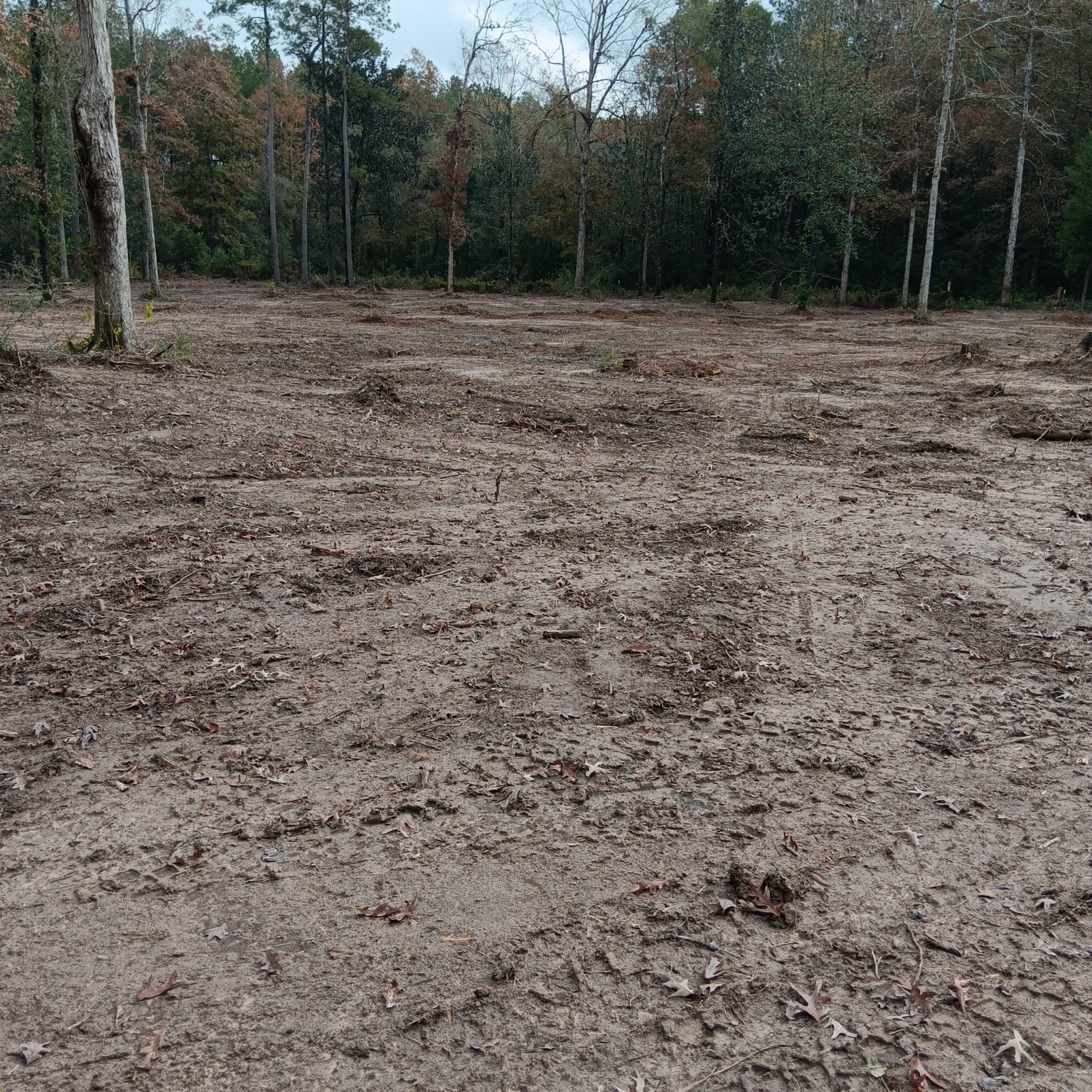 Lot 22 Plum Pudding Road Livingston, TX 77351 - Photo 11 of 17