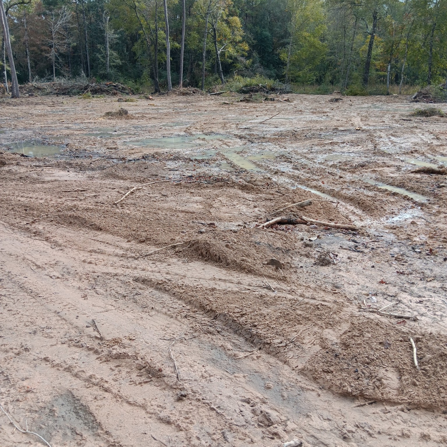 Lot 22 Plum Pudding Road Livingston, TX 77351 - Photo 12 of 17